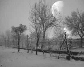 luna e nevicata